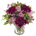 without background.png