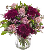 without background.png