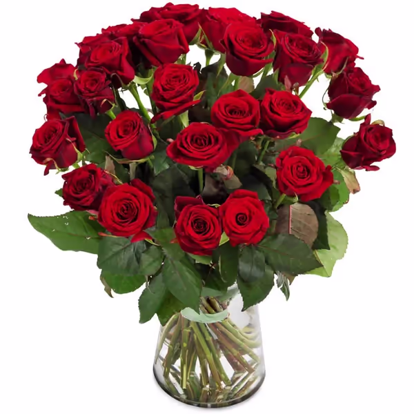 Red Rose bouquet