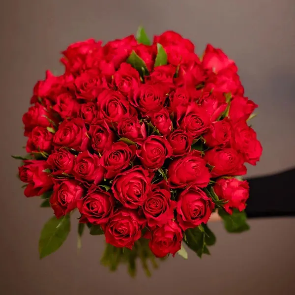 50 Red Roses2