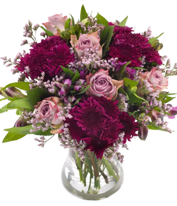 without background.png